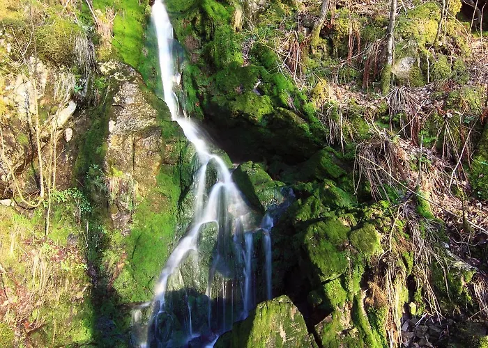 Egenes Camping Semesteranläggning (resort)